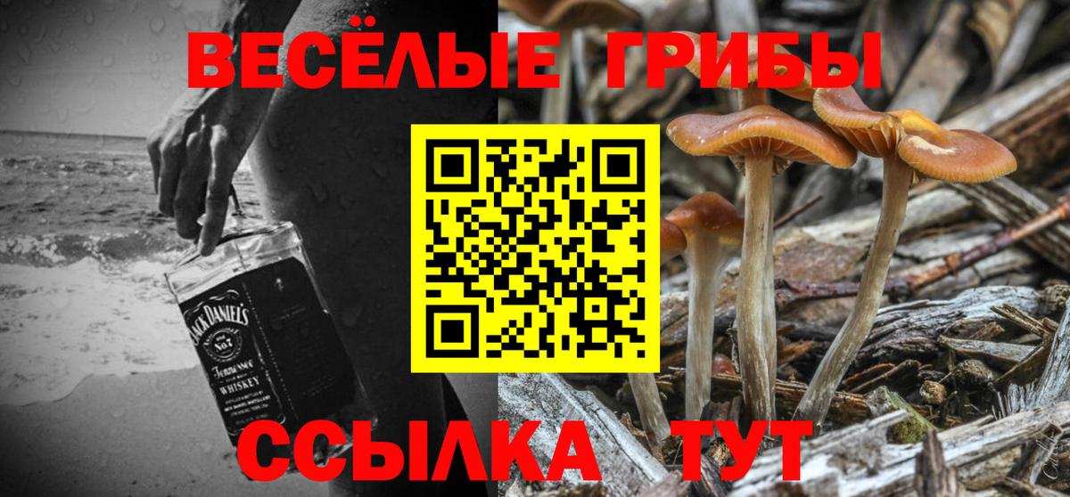 Долгопрудный  Псилоцибиновые грибы мухоморы  Вход с VPN 